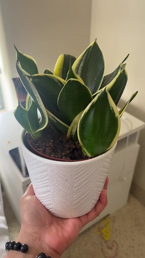 Emori (@emoriwantsplash)’s videos with Day 'N' Nite (nightmare) - Kid Cudi