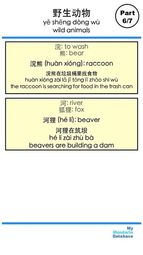 Literal translations: wild animals, part 6 #chinesevocabulary #chineselanguage#freemandarinchinese