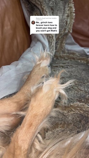 Engaging Grinch Toes Tutorial: A Fun Nail Art DIY