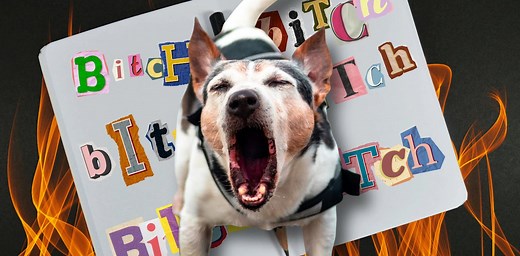 ‘Bitch’ has a 1,000-year history. Its use has always been about power