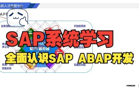 零基础学习SAP系统，SAP ABAP开发基础入门课程