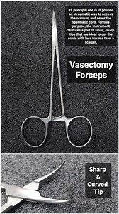 Vasectomy Sharp Ss Forceps