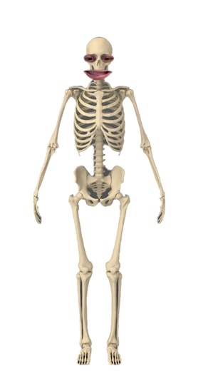 Skeleton sings Dry Bones 💀☠️🩻🦴