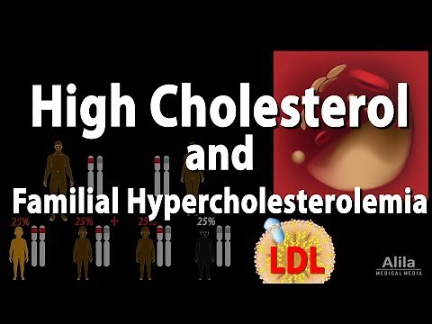 High Cholesterol and Familial Hypercholesterolemia, Animation