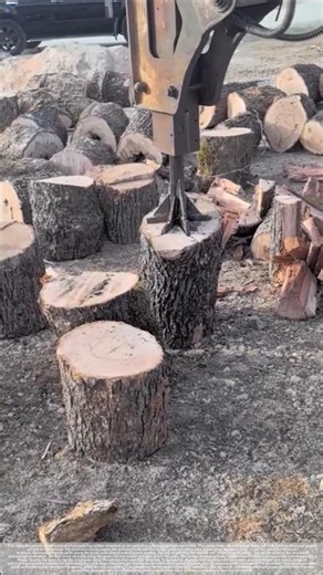 Excavator splitting wood#shorts