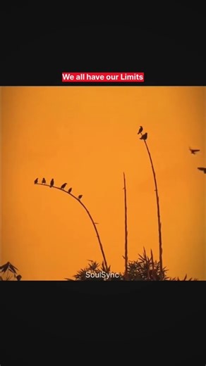 Limitless Soul #motivation #mindset #selfgrowth