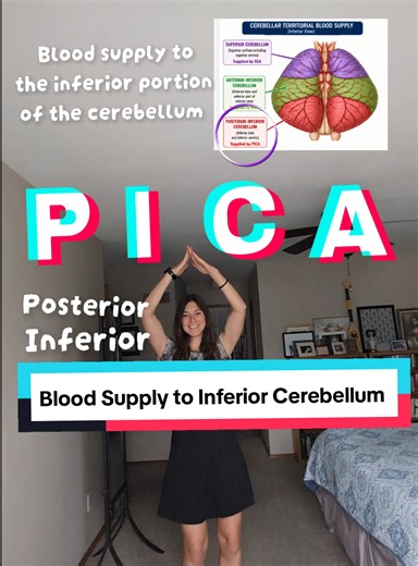 #anatomy #anatomyandphysiology #TikTokLearningCampaign #stem #edutok