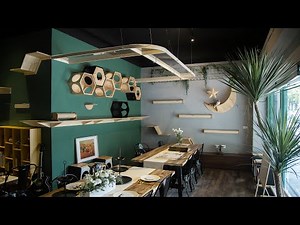 全台灣最大的貓咪天空步道在這裡！｜MYZOO Breakroom Ver 2020 展示間介紹｜MYZOO動物緣