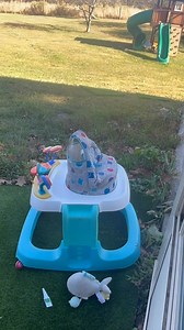 5K views · 78 reactions | Out for play time with the teeny tiny little morkie boys! Vet checks went well today! Everyone has a clear bill of health  | J&O Puppies Small Dog Breeds | Facebook