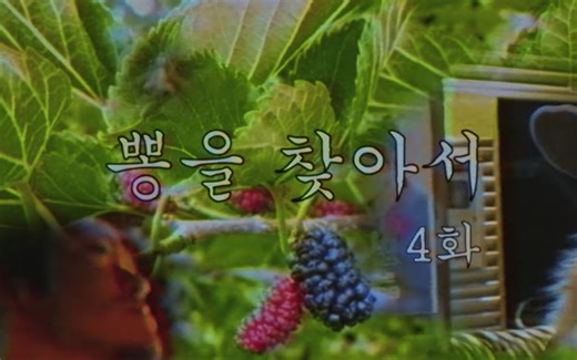 【Documentary】【中字】寻找 "Ppong"（第4话）— 250