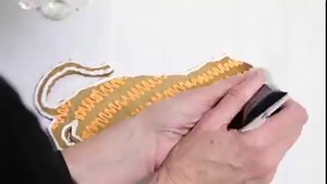 2.8K views · 225 reactions | Wishing everyone a deliciously delightful holiday season!  | Princeton University | Facebook