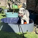 YSJILIDE Portable Dog Pool PVC Pet Swimming Bathtub Collapsible Hard Plastic Pool for Pets to Swim and Bath (XL-63"x 12"Dark Grey)