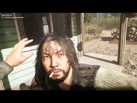 Far Cry 5 with mods in 2024 free roam gameplay