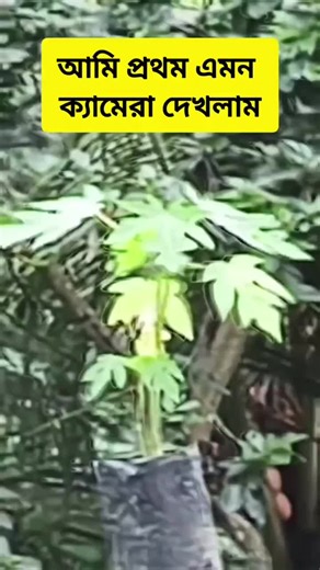 Entertain Hub trên TikTok