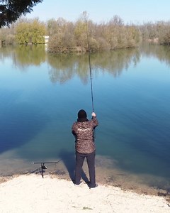 34 reactions | How to Wrap and Cast using Distance Sticks | Tribal Tactics Carp fishing from the bank requires precision in your casting and wrapping techniques. Learn more about how to wrap your distance and improve your accuracy in our new wrapping & casting How To video  https://shima.no/1NW #Anglingtechniques #Wrapping #Casting #ShimanoFishing #FishShimano #TribalLife #Fishing #CarpFishing #BankFishing #ShimanoTribal | Shimano-Tribal | Facebook