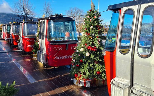 15 Best Cheese Fondue in Zürich (2025)