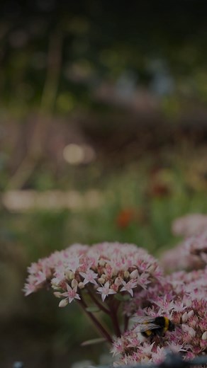🌸 Frühlingsgefühle in Klangform! Unsere Playlist bringt euch mit Musikempfehlungen der Tonhalle Düsseldorf durch die schönsten Frühlingstage. 🎶 Frohe Ostern wünscht euch das ganze Team! 🐣💐 🌸 Spring fever in sound form! Our playlist takes you through the most beautiful spring days with music recommendations from the Tonhalle Düsseldorf. 🎶 Happy Easter from the whole team! 🐣💐 #tonhalle #düsseldorf #tonhalledüsseldorf #foryou #april #easter #frühlingsplaylist #spring #classicalmusic #bloom