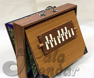Shruti Box MKS - Low G