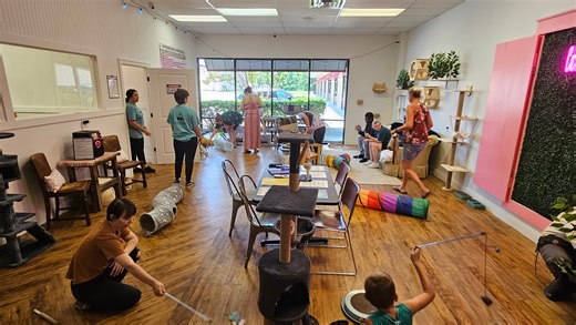 New cat cafe coming to Mississippi. See where you can sip, snack, adopt a furry friend today