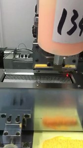 SENTO森拓品牌伺服直线滑台模组视频 直线导轨视频