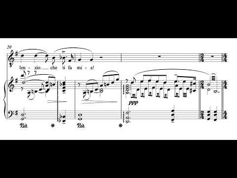 Nessun dorma (Turandot - G. Puccini) Score Animation