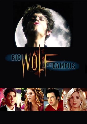 Big Wolf on Campus. So I was obsessed with this show back in the late 90s/early 2000s. It played on ABC Family (sadly that channel is long gone) but it played after school along with a few other shows and then Goosebumps so hey blame the 90s for my love of horror. But this show is fantastic and overall I feel it's an inspiration for Smallville. Has a similar feel with a high school football player has powers and keeps it a secret besides a couple of friends but obviously this one is a werewolf. 
