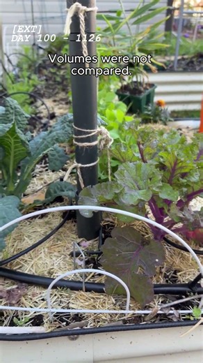 Selection Pressure: Ep 29 - "The Extraction" | Garden Series