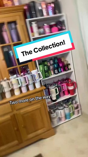 My Stanley Collection! I need a better set up!! I have seen much larger and more beautiful displays of collections! How many Stanley’s can you count? Bonus points if you can you name them all? I guess you’ll have to pause to see them all. #stanley #stanleycollector #stanleycups #stanleycollection #stanleygirl #stanleytumbler #cuphunter #cuphunting