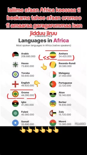 Exploring Oromo and Amhara Cultural Differences