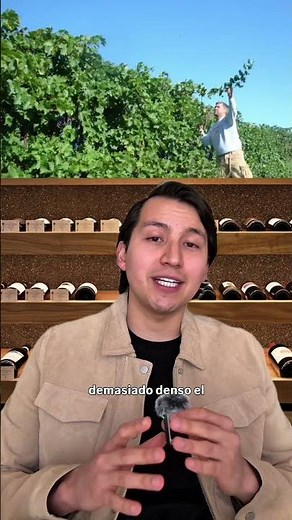 Sistema Parral 🍇 #shorts #wine #vino