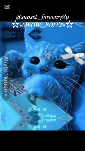 Color wheel trend #cat #alightmotionedit #alightmotion #alightmotionviral #edit #fypシ゚viral