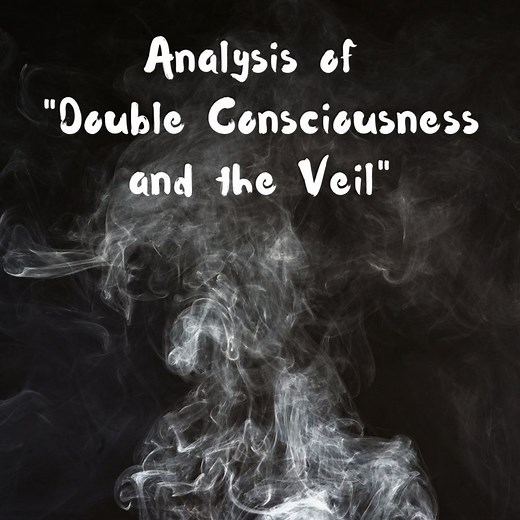 Analysis of W.E.B. Du Bois' "Double Consciousness and the Veil"