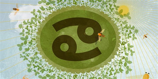 If You're A Cancer, You're Probably The 'Unifier' Of Your Friend Group