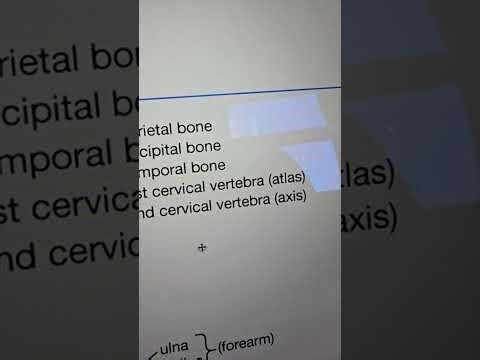 Human anatomy Chapter 1 part (11)