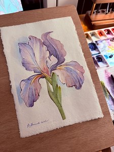 Botanical Illustration No.3, Watercolor Watercolour Art Drawing Painting Sketch - Etsy