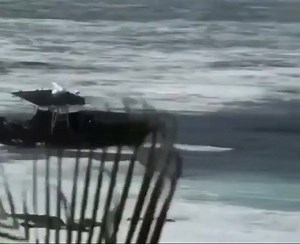 @outboardoutlaws --- #OutboardOutlaws #billfish #fast #mercuryoutboards #yamahaoutboards #fishing #offshore #cruising #diving #centerconsole #hydrasports #contenderboats #seaveeboats #garmin #intrepidboats #keywest #cobiaboats #makoboats #luxury #yellowfin #centerconsolesonly #yacht #boating #boatlife #lifestyle #water #ocean #fish #reef #outboard | AMG Marine