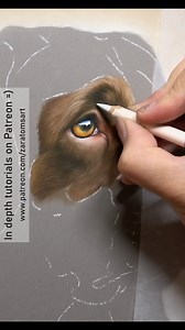 361K views · 21K reactions | I've spoken about the layering process and how I like to build up depth when drawing fur. I have selected a few sections of Staffa's portrait and as I was working on a larger scale I was able to add so much tiny detail. These details are one of my favoueite parts of any portrait =). - - - 14" x 26" pastel portrait Reference photo my own | Zara's Pet Portraits & Wildlife Art | Facebook
