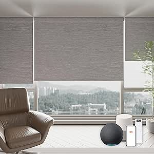 Automatic Blinds Work with Aleax,Motorized Blinds Remote Control,Smart Shades with Remote for Home