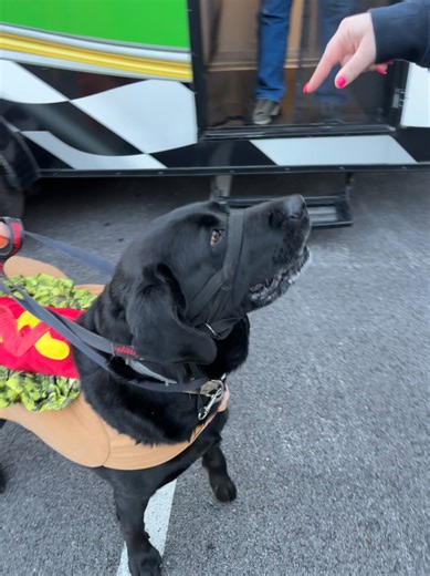 Trailer Trash Chili Dogz on Reels