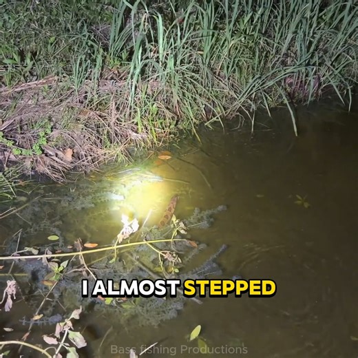 Highlights - Hidden Tunnel FILLED with RARE FISH! | Brigs Fishing Team