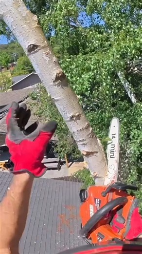 August Hunicke on Instagram: "The “Modern” One-Handed Chainsaw"