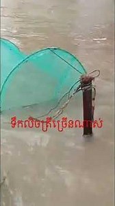 ត្រីច្រេីនណាស់ បងប្អូន #shorts