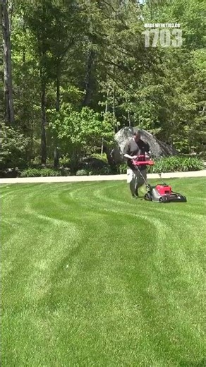Revitalize Your Lawn: Change Your Mowing Pattern!