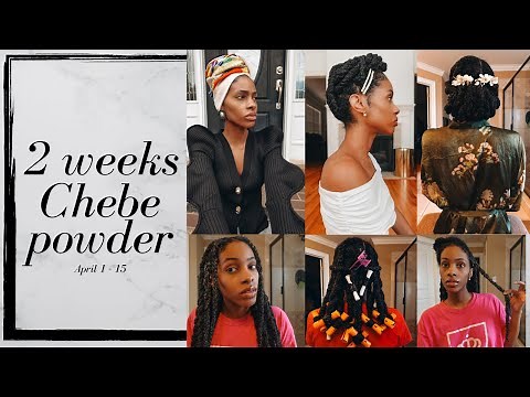 I Tried Chebe Powder for 2 WEEKS annnddddd....This is What Happened With My Hair