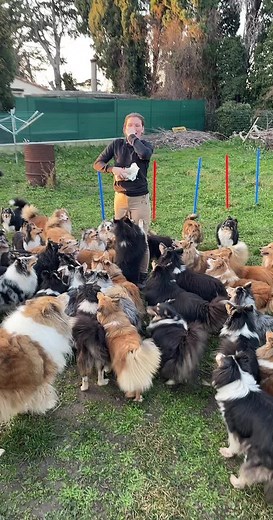 Vidéos de sophiedelvallez (@sophiedelvallez) avec Les petits poissons dans l'eau - HeyKids Comptine Pour Bébé