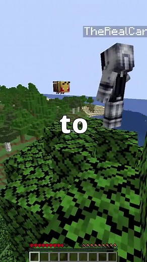 @therealcarvs Death by Bee on Awaken SMP