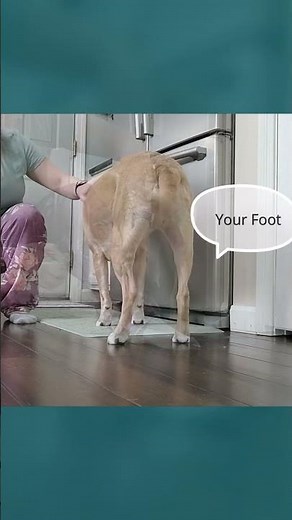 Cooperative Care doesn't have to be PERFECT