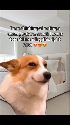 pastelpinky on Instagram: "日本利用压电瓷砖将脚步转化为电能。这些瓷砖捕捉来自你脚步的动能。当你行走时，你的重量和动作会对瓷砖产生压力。瓷砖会轻微弯曲，从而产生机械应力。瓷砖内部的压电材料将这种应力转化为电能。每一步都会产生少量电荷，而数百万步结合在一起就能产生足够的电力来驱动LED灯、数字显示屏和传感器。在像涩谷车站这样繁忙的地方，每天大约有240万个脚步为这一系统作出贡献。 这些电能可以被储存或立即使用，从而减少对传统电力来源的依赖，并支持可持续的城市基础设施。 这种方法将日常运动转化为实用的可再生能源 #日本#知识#事实 #你知道吗 #推荐 科技创新 历史 技术 实验 热门"