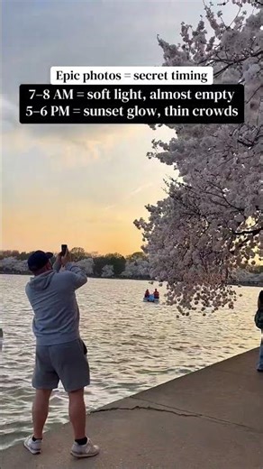 🌸 DC Cherry Blossoms With Kids | Spring Break Family Guide 🌸