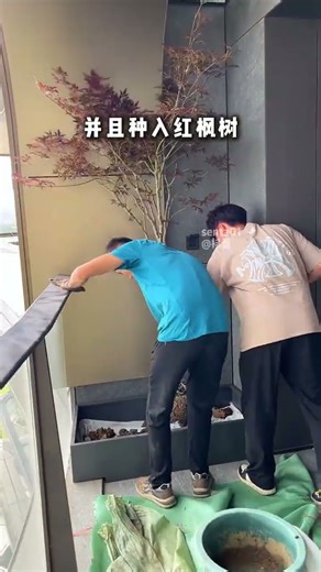 The balcony abandons sunbathing, using Red Maple as landscape makes it beautiful.